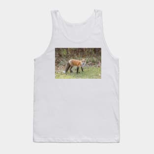 A lone Red Fox Tank Top